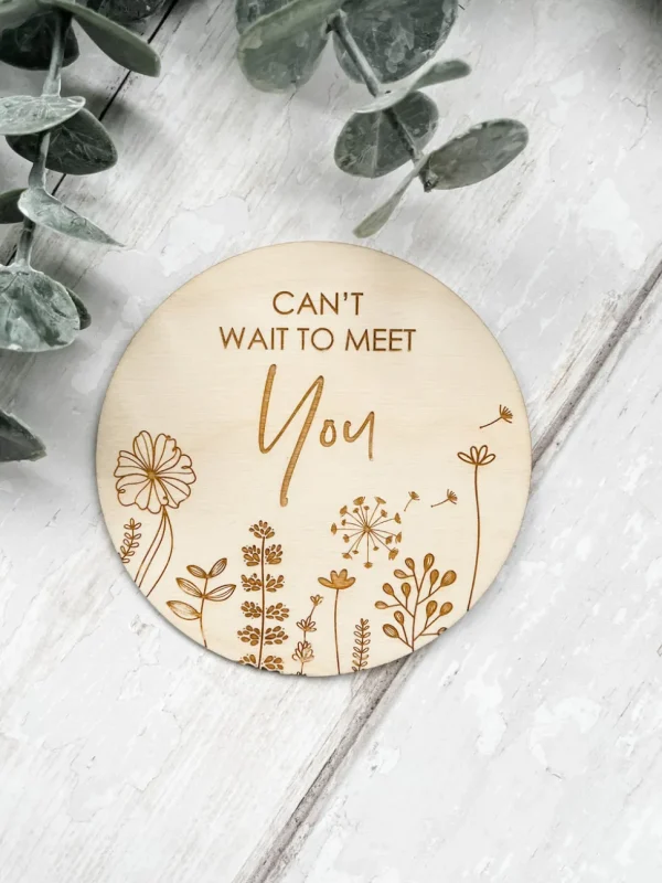 Can't Wait To Meet You Baby Plaque