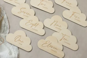Cloud Baby Milestone Discs