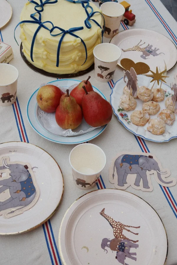 Konges Sløjd Safari Party Kit