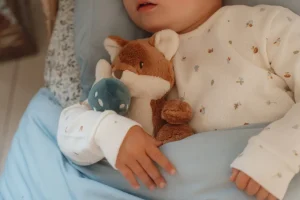 Little Dutch Cuddle Toy Fox - Forest Friends