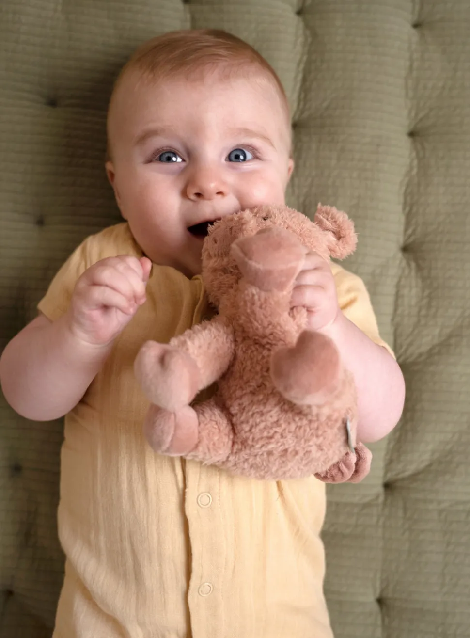 little_dutch_pig_cm_1.webp Little Dutch Pig 17cm