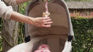 Little Dutch Pull & Shake - Deer