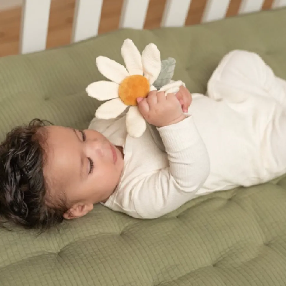 little_dutch_rattle_flowe_1.webp Little Dutch Rattle Flower - Little Farm