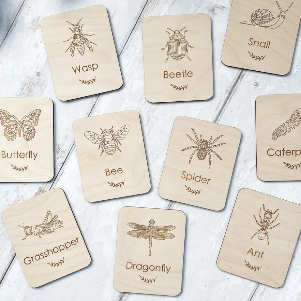 minibeasts_flashcards_0.webp Minibeasts Flashcards