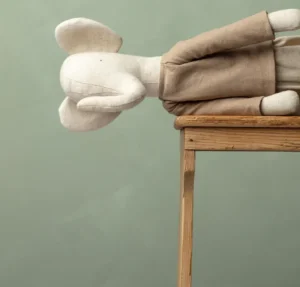 Mr Pickles - The Adventure Pickles - Elephant