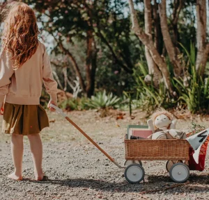 Olli Ella Wonder Wagon - Natural