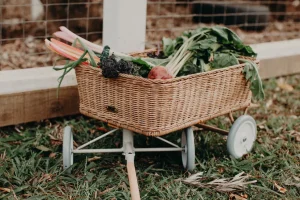 Olli Ella Wonder Wagon - Natural