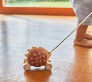 Plan Toys Pull-Along Hedgehog - Brown