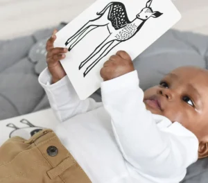 Wee Gallery Art Cards - Baby Animal