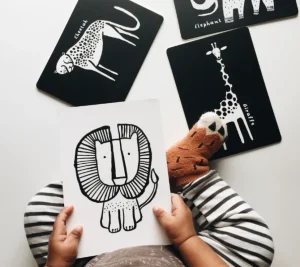 Wee Gallery Art Cards - Safari